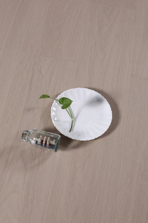 純真系列 肯帝亞地板麥秸畫產品圖賞析